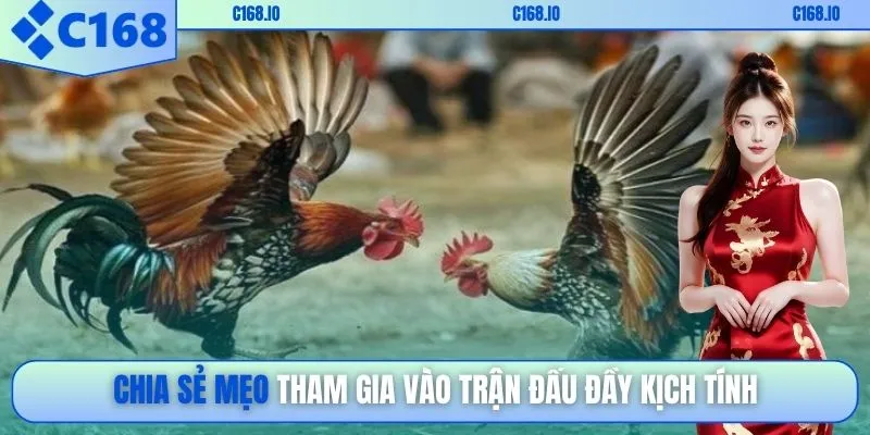 Chia sẻ mẹo tham gia vào trận đấu đầy kịch tính